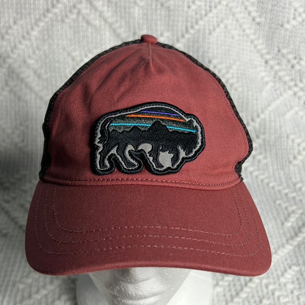 Patagonia Fitz Roy Bison Trucker hat
